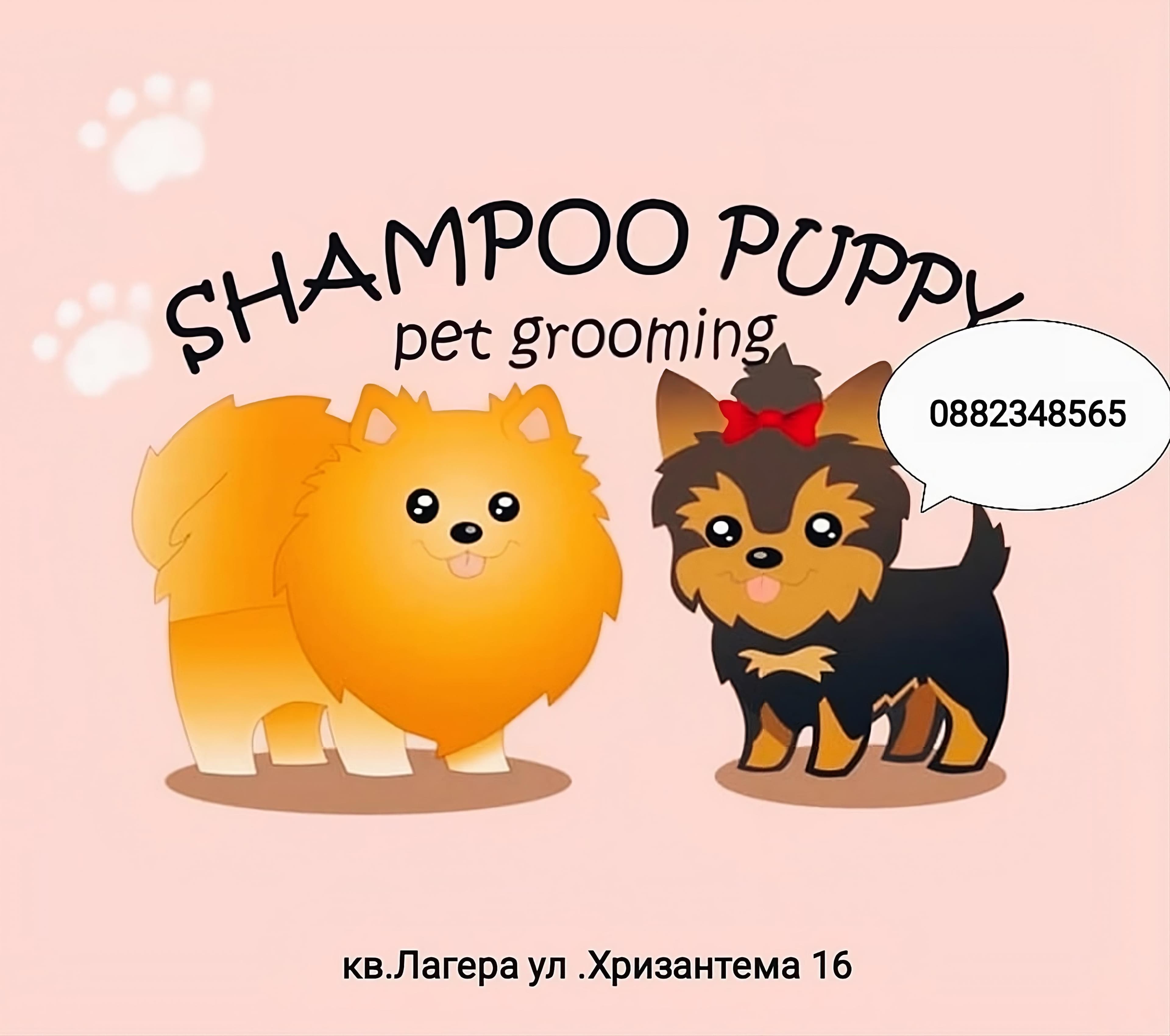 shampoo puppy